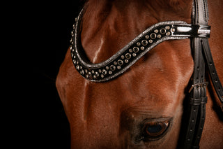 Johnny Silver Bridle TRENS *NEW*