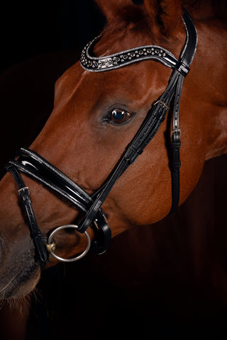 Johnny Silver Bridle TRENS *NEW*