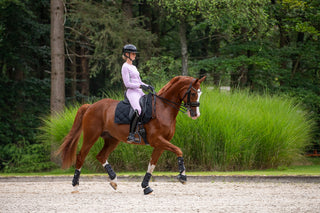 Dressage Saddle Pad Black - Lavender Fields