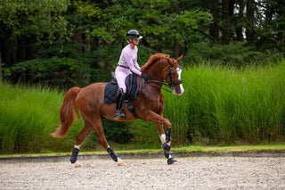 Lang mouw trainingsshirt lila - Lavendelvelden 