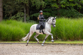 CHARMER Dressage Saddle Pad Black & Silver - Jet Set Logo